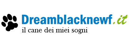 Dreamblacknewf